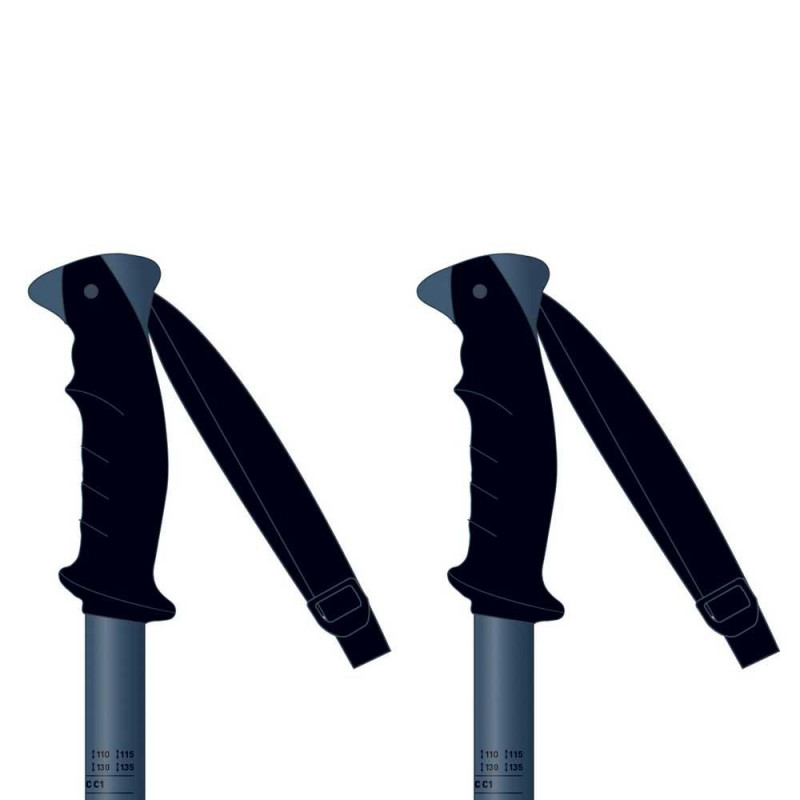 Lyžařské hůlky Rossignol Tactic grey/blk
