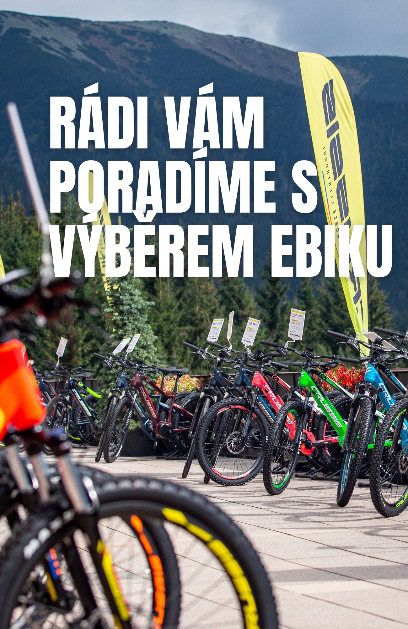 DOMIVOSPORT